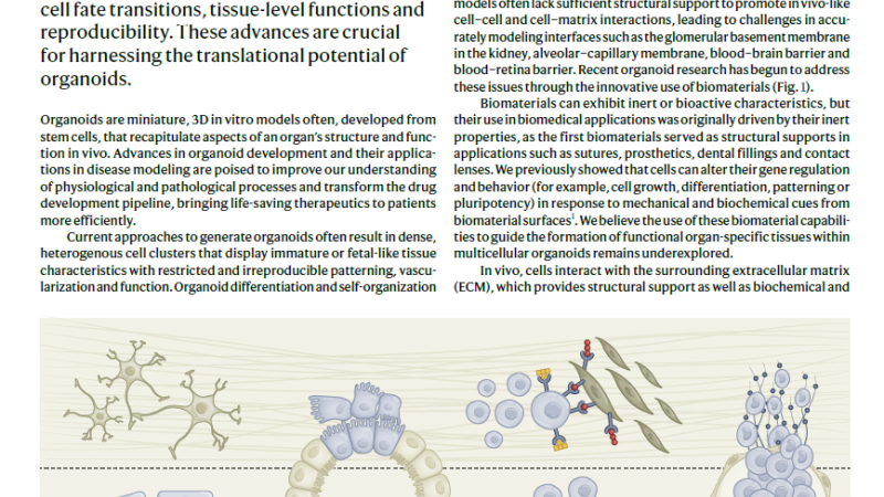 Musah Lab publication in Nature Methods