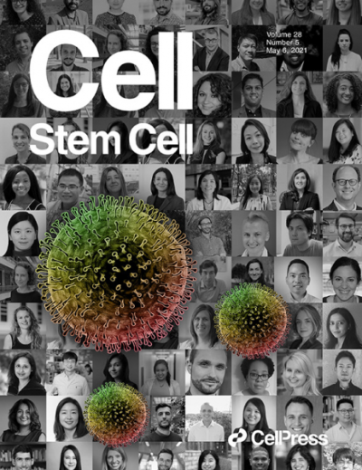 Cover Image_Cell Stem Cell_1.png 