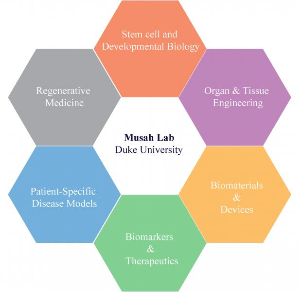 diagram of Musah Lab
